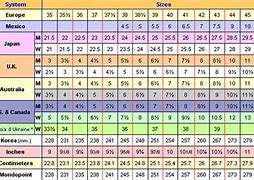 Image result for All Bra Sizes Chart