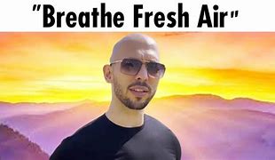 Image result for I Breathe Air Meme