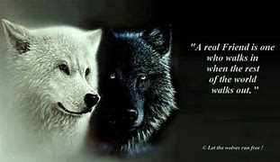 Image result for Cute Wolf Quotes