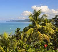 Image result for Osa Peninsula