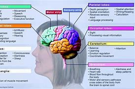 Image result for Memory and Sleep EPPP