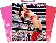 Image result for WWE Nikki Bella Flannel