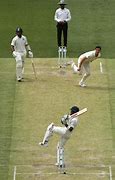 Image result for Cricket Wicket Hight