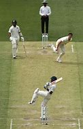 Image result for Cricket Wicket Keeping Inners