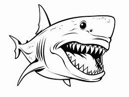 Image result for Great White Shark Wallpaper