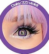 Image result for Purple Contact Lenses