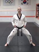 Image result for Martial Arts Stances