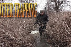 Image result for Otter Trapping