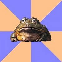 Image result for Toad Frog Surprisememe