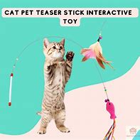 Image result for Cat Feather Toys