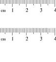 Image result for How Long Is 30 Cm Actual Size