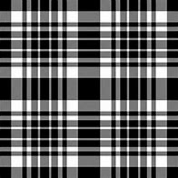 Image result for Plaid Pattern Black and White Spots