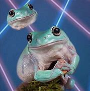 Image result for Phrog Frog