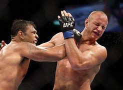 Image result for Mixed Martial Arts Fight
