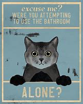 Image result for Funny Cat in Toilet Poster