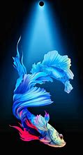 Image result for Cool iPhone 6 Plus HD Wallpaper
