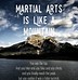 Image result for Martial Arts Inspiration
