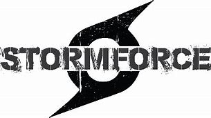 Image result for Stormforce Logo
