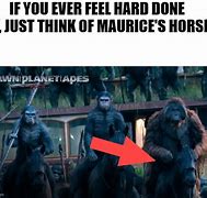 Image result for Planet of the Apes Cornelius Meme