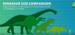 Image result for Largest Dinosaur Ever Discovered