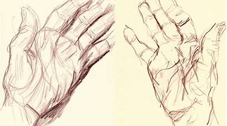 Image result for Hand Palm Drawing