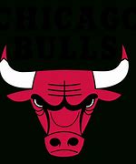 Image result for Chicago Bulls New Logo