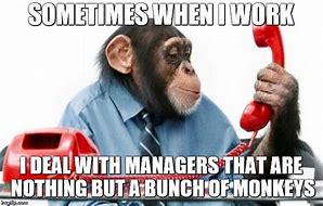 Image result for Monkey Work Meme