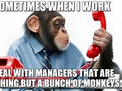 Image result for Monkey Business Meme