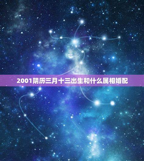 2001年阴历十月十七啥星座