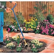 Image result for Garden Claw Gold