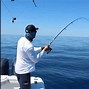 Image result for How to Set Up a Fishing Pole