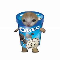 Image result for Oreo Meme Cat Version