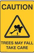 Image result for Be Careful Water Trees That Don't Bare Fruit Memes