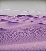 Image result for Purple Grain Filter