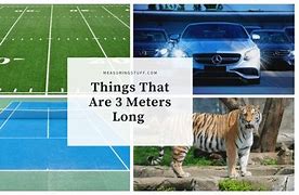 Image result for How Much 3 Meters Long