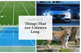 Image result for How High Is 3 Meters