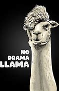 Image result for No Drama Llama Meme