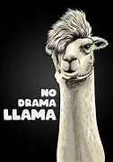 Image result for Cartoon Llama Drama Meme