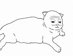 Image result for OMG a Cat Wojak Meme