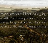 Image result for Loving an Introvert Quotes