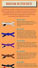 Image result for Belts in Brazilian Jiu Jitsu