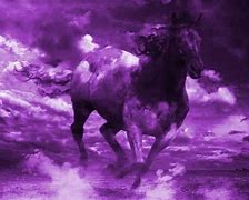 Image result for Horse Race Background