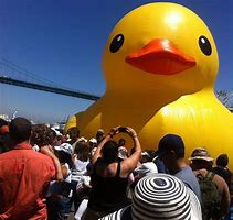 Image result for Biggest Rubber Duck Collection