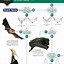 Image result for Every Type of Bat in the World