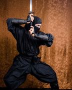 Image result for Top 10 Deadliest Martial Arts