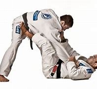 Image result for Jiu Jitsu Different Guards