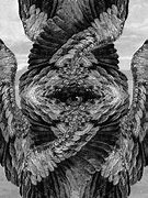 Image result for Black Seraphim Angels