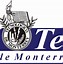 Image result for Tec Monterrey Logo