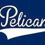 Image result for New Orleans Pelicans Hat