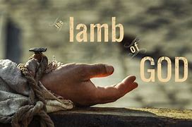 Image result for Lamb of God Meme